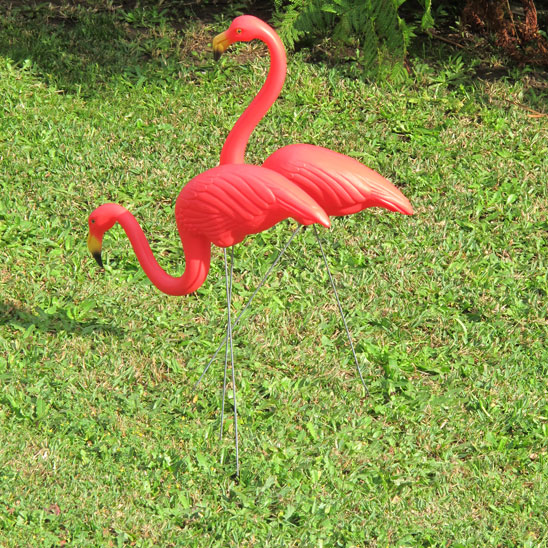 canterbury-garden-flamingos-xg.jpg