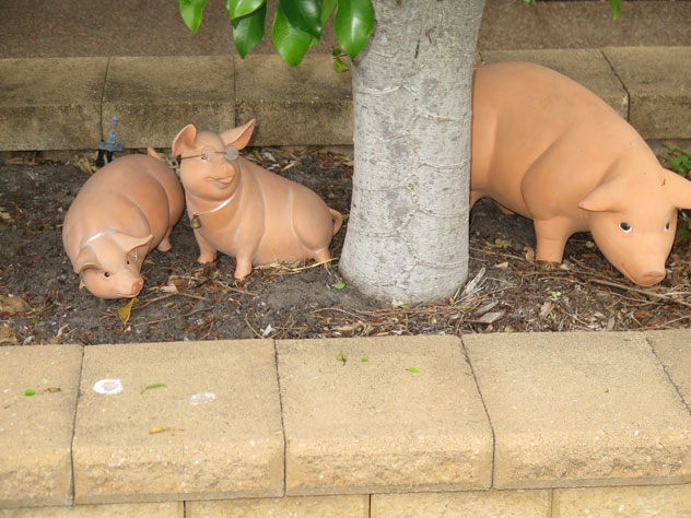 chipping-norton-sculpture-pigs-that-cannot-fly-usc.jpg