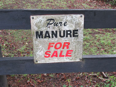 collections-oxymorons-manure-pure-coxy.jpg