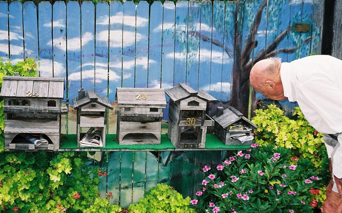 como-mailbox-painting-flowers-um