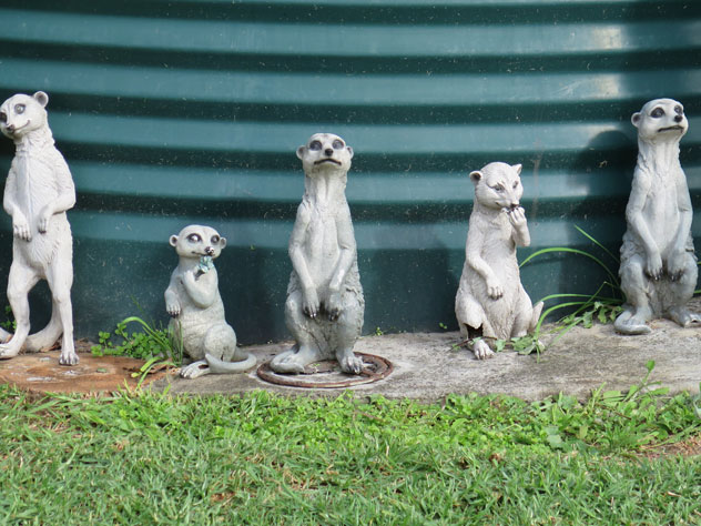 lalor-park-sculpture-meerkats-usc.jpg