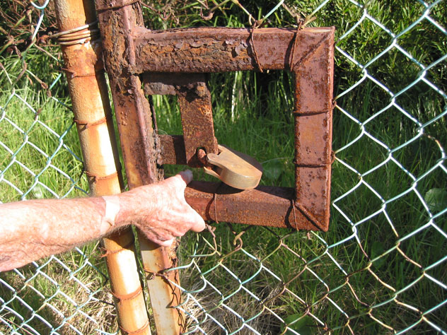 malabar-fence-jail-padlock-rusty-uf.jpg