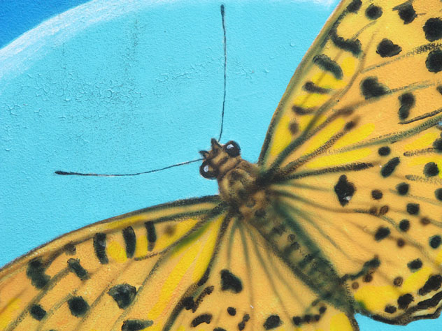narraweena-paintings-vet-butterfly-up.jpg