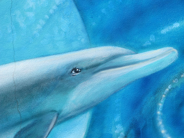 narraweena-paintings-vet-dolphin-up.jpg