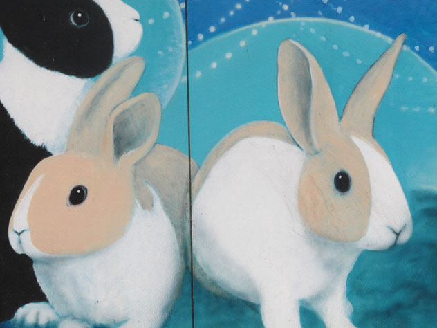 narraweena-paintings-vet-rabbits-up.jpg