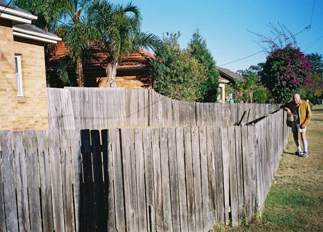 north-manly-fence-pailing.jpg