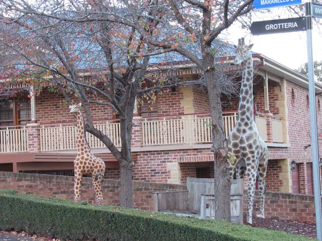 oakville-sculptures-giraffes-1-usc.jpg