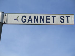 street-themes-aircraft-gannet-kacr.jpg
