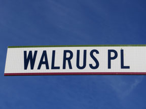 street-themes-aircraft-walrus-kacr.jpg