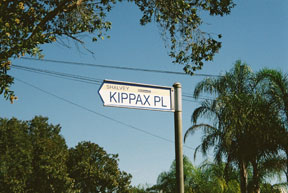 street-themes-cricket-kippax-kcrk.jpg