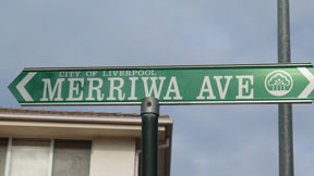 street-themes-nsw-towns-merriwa-kntn.jpg
