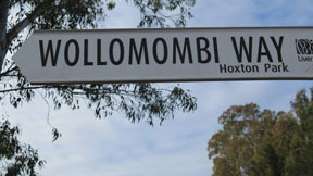 street-themes-nsw-towns-wollomombi-kntn.jpg