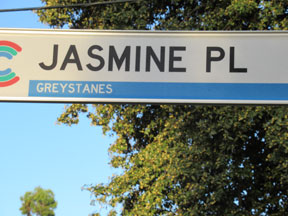 street-themes-plants-jasmine-kpln.jpg
