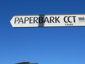 street-themes-trees2-paperbark-ktre.jpg