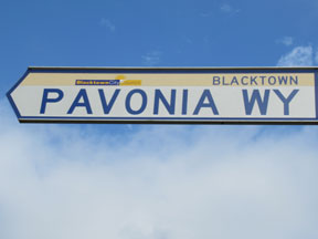 street-themes-ways-pavonia-wy-kway.jpg