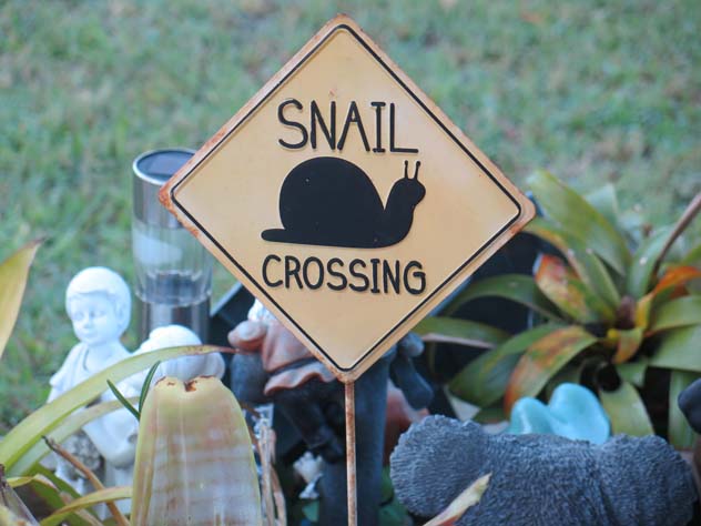 sylvania-sign-snails-crossing-usg.jpg