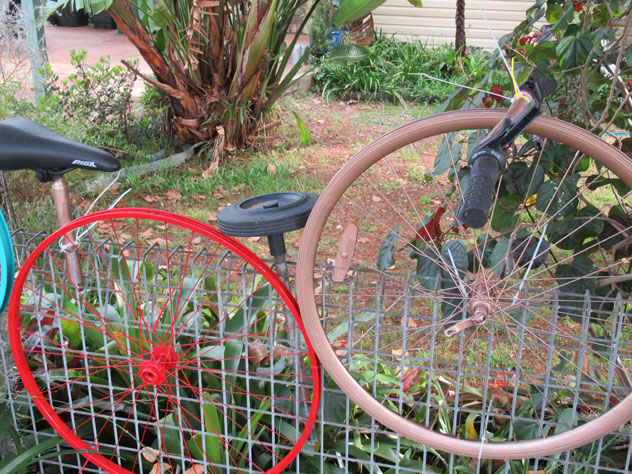 toongabbie-bicycle-fence-1-ufe.jpg