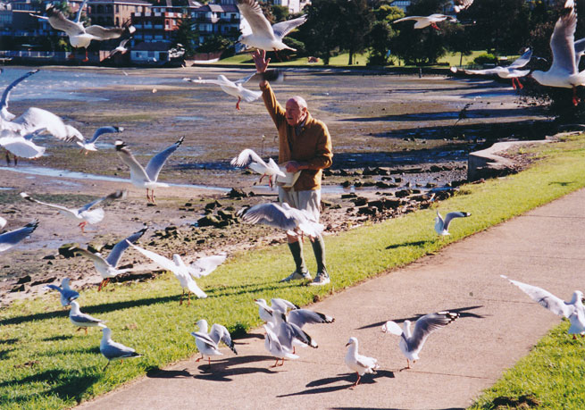 abbotsford-seagulls-w.jpg