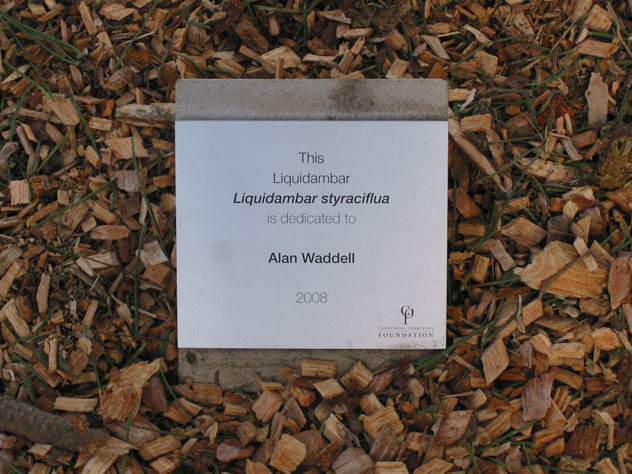 photos/alan-waddell-tree-dedication-ceremony-2-td.jpg