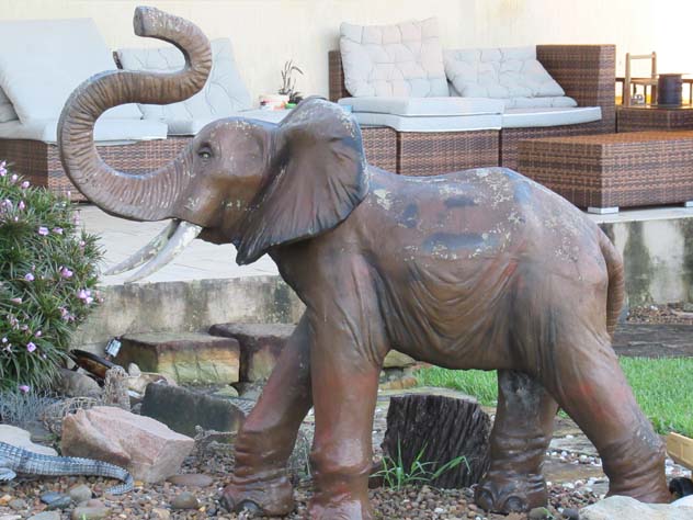 blacktown-sculpture-elephant-3-usc.jpg