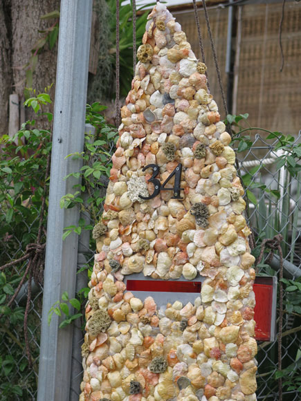 bundeena-mailbox-surfboad-shells-um.jpg
