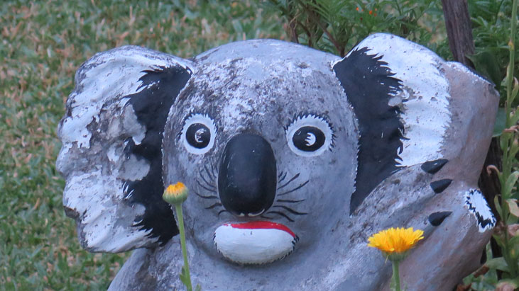 burwood-sculpture-staring-koala-usc.jpg