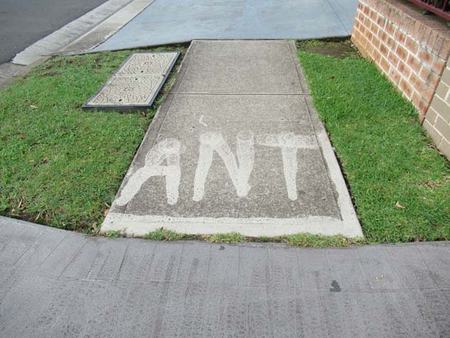 casula-sign-ants-usg.jpg