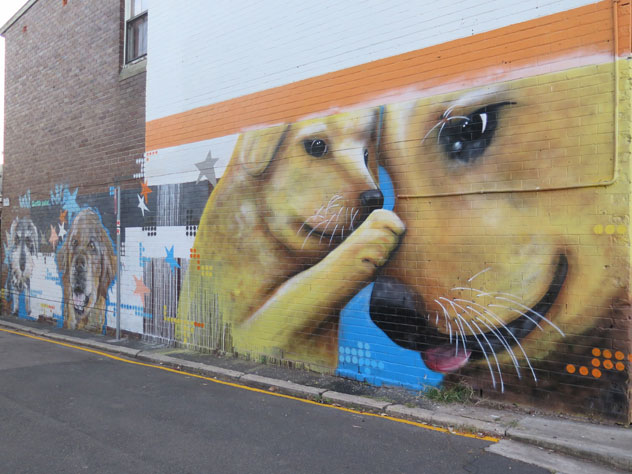 croydon-park-dog-mural-1-up.jpg