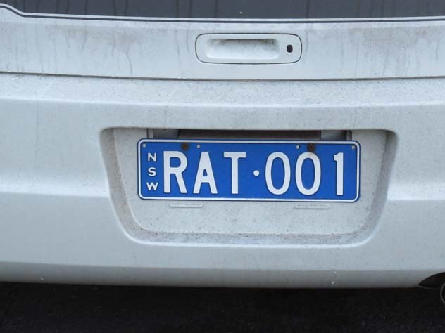 engadine-car-number-plate-rat-uv.jpg