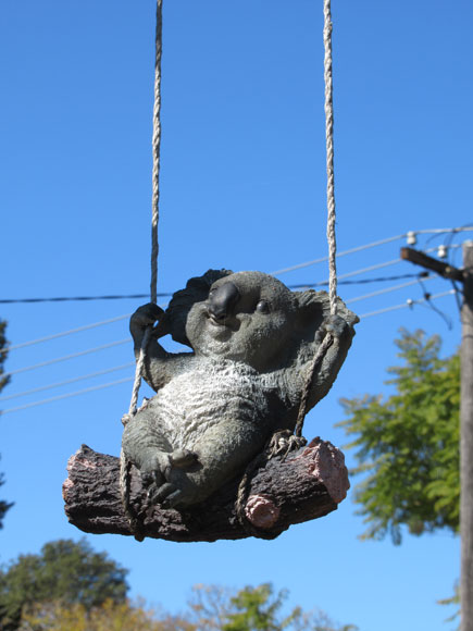 lane-cove-sculpture-koala-playtime-2-usc.jpg