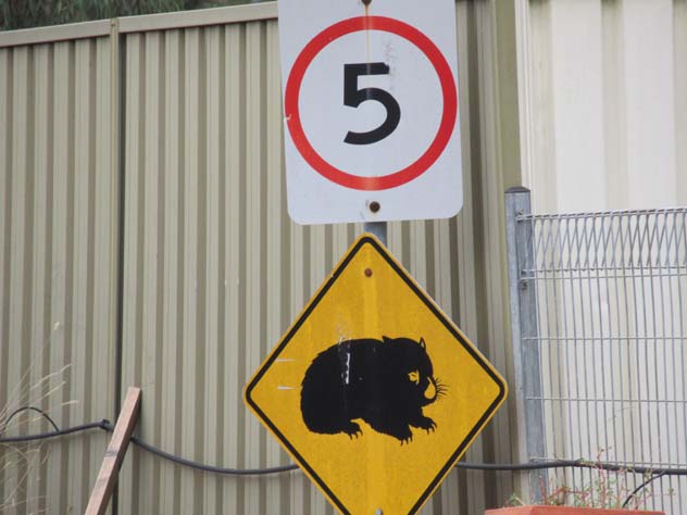 londonderry-sign-beware-other-animals-usg.jpg