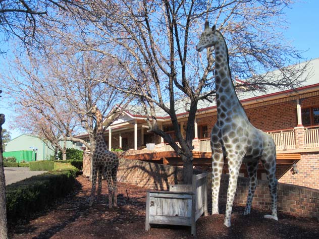 oakville-sculptures-giraffes-3-usc.jpg