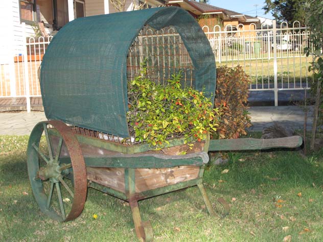 oxley-park-garden-old-cart-xg.jpg