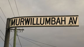 street-themes-nsw-towns-murwillumbah-kntn.jpg