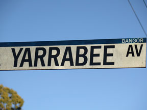 street-themes-streets-t-and-y-yarrabee-ksty.jpg