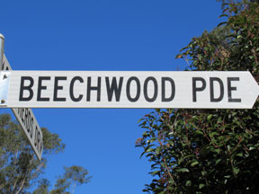 street-themes-wood-beechwood-kwod.jpg