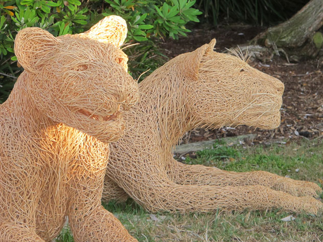 tamarama-sculpture-lions-e.jpg