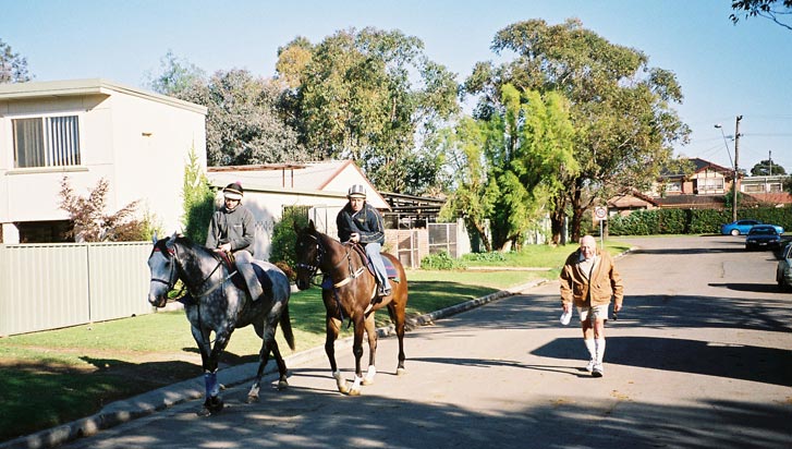 warwick-farm-horses-in-street-w.jpg